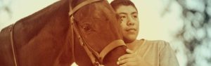 The Right Horse - Boy And Horse Staring Into Distance- Header 600