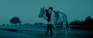Boy Leading Horse During Sunset - Teal