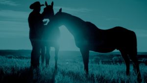 Cowboy With Two Horses at Sunset-Teal 50