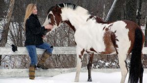 The Right Horse - Danielle
