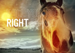 TheRightHorse-WillYouDoRightByMe
