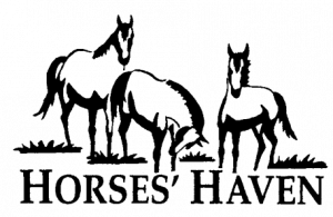 Horses' Haven - The Right Horse