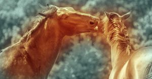 The Right Horse - Teamwork Makes The Dream Work - FB