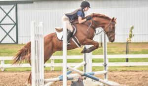The Right Horse - New Vocations - Retrained and Remarkable Challenge