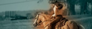 Share Your Western Story - The Right Horse - Western Horseman - Adoption All Stars