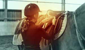 The Right Horse - The Basic Behavior Profile - FB