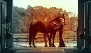 The Right Horse - Corporations as Stakeholders - Zoetis - Social