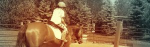 The Right Horse - Riding Instructors As Stakeholders - Header