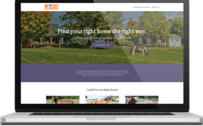 Best Website in the Horse Industry? It’s MyRightHorse.org!